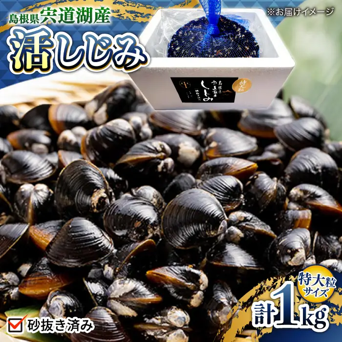 しじみ 宍道湖産活 大和しじみ 特大粒1kg(砂はき済み)  [ALBZ022] しじみ 