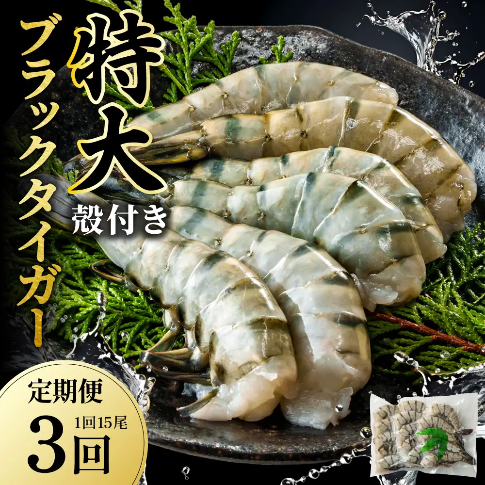 【3回定期便】特大 ブラックタイガー 無頭えび 570g前後（15尾）×3回 