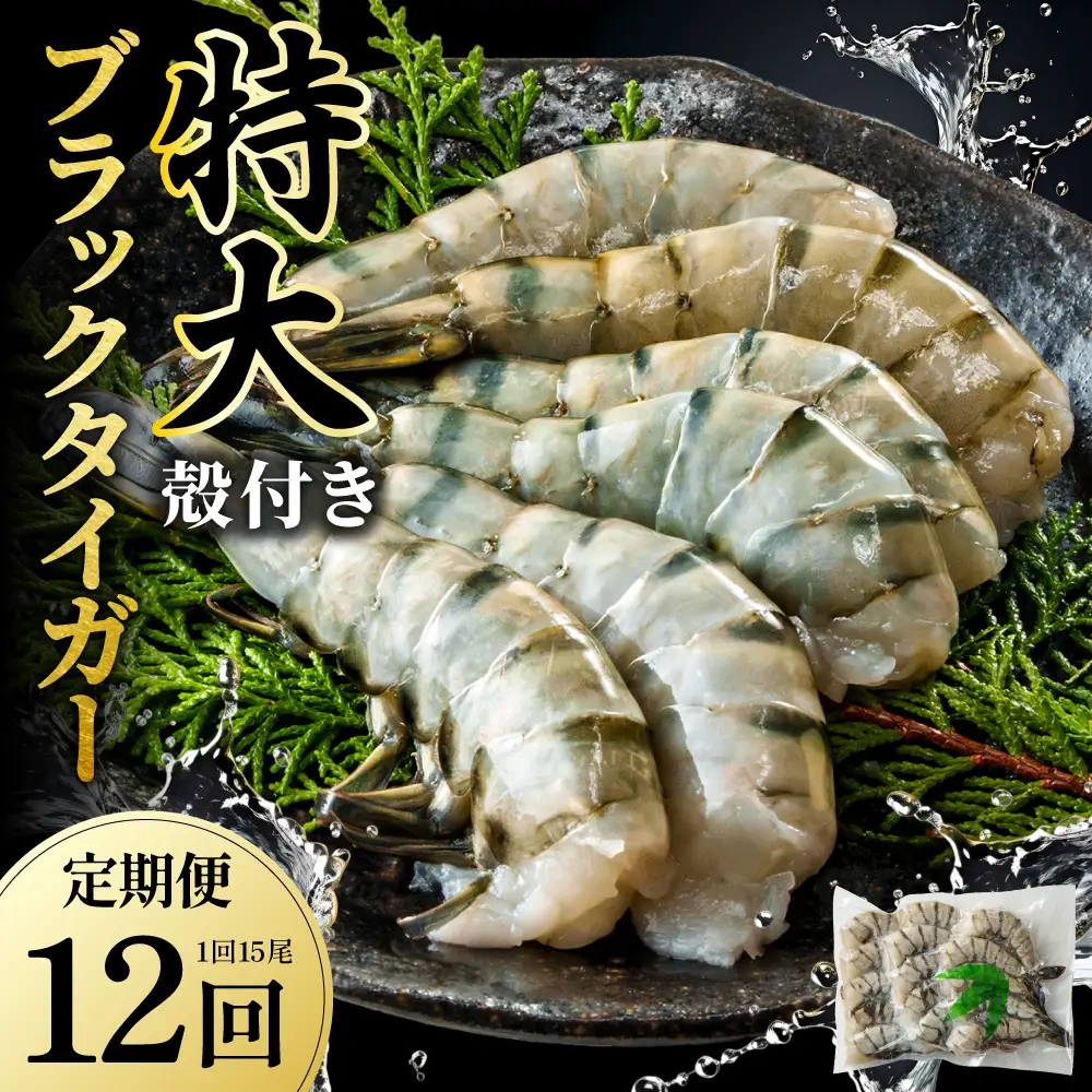 【12回定期便】特大 ブラックタイガー 無頭えび 570g前後（15尾）×12回