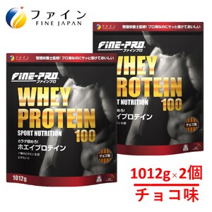 R-4　ファインプロ ホエイプロテイン100　チョコ味 2個セット