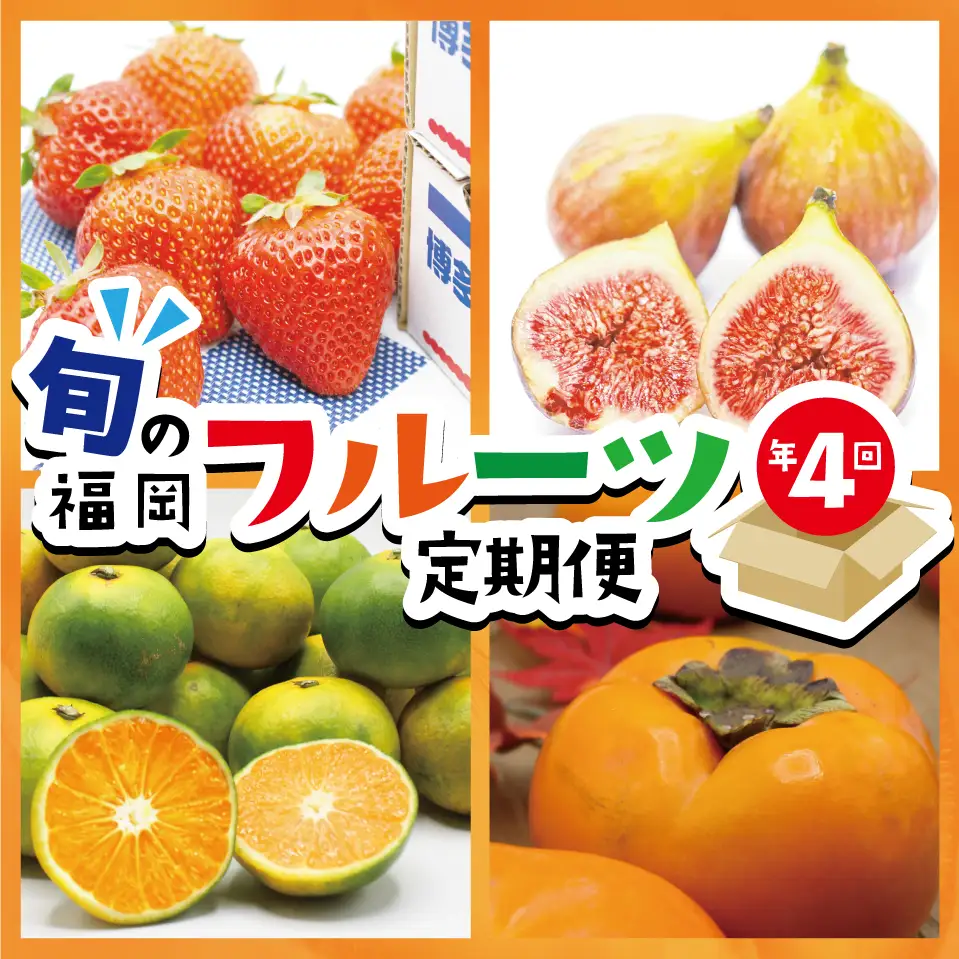 【定期便】福岡県ブランドフルーツ定期便（年４回） ブランド いちご いちじく みかん 柿 大人気 NO1 限定品 高級 フルーツ 果物 くだもの 特別 冷蔵 プレゼント 九州 福岡 宮若市 ふるさと納税 おすすめ 送料無料 M771