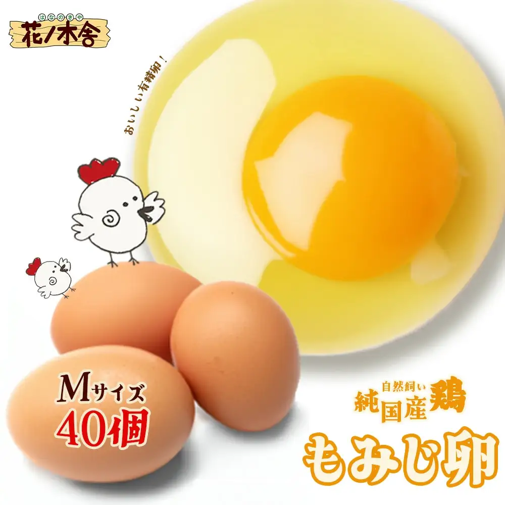 自然飼い　純国産鶏「もみじ」卵　40個入　（Mサイズ）　【04209-0235】　たまご