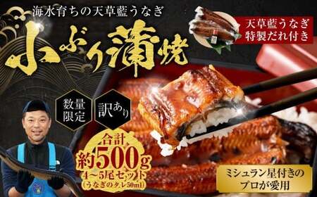 【数量限定】 【訳あり】 【ミシュラン星付きのプロが愛用】海水育ちの 天草 藍うなぎ 小ぶり 蒲焼 500g（4～5尾）  養殖期間中 無投薬 鰻 ウナギ うなぎ うなぎ蒲焼 鰻の蒲焼 国産 【2026年6月下旬より順次発送予定】