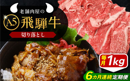 【6回定期便】 飛騨牛 切り落とし肉 A5ランク 500g×2パック (1kg) / 恵那市 / 岩島屋 [AUAJ034]