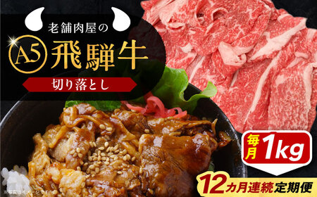 【12回定期便】 飛騨牛 切り落とし肉 A5ランク 500g×2パック (1kg) / 恵那市 / 岩島屋 [AUAJ035]