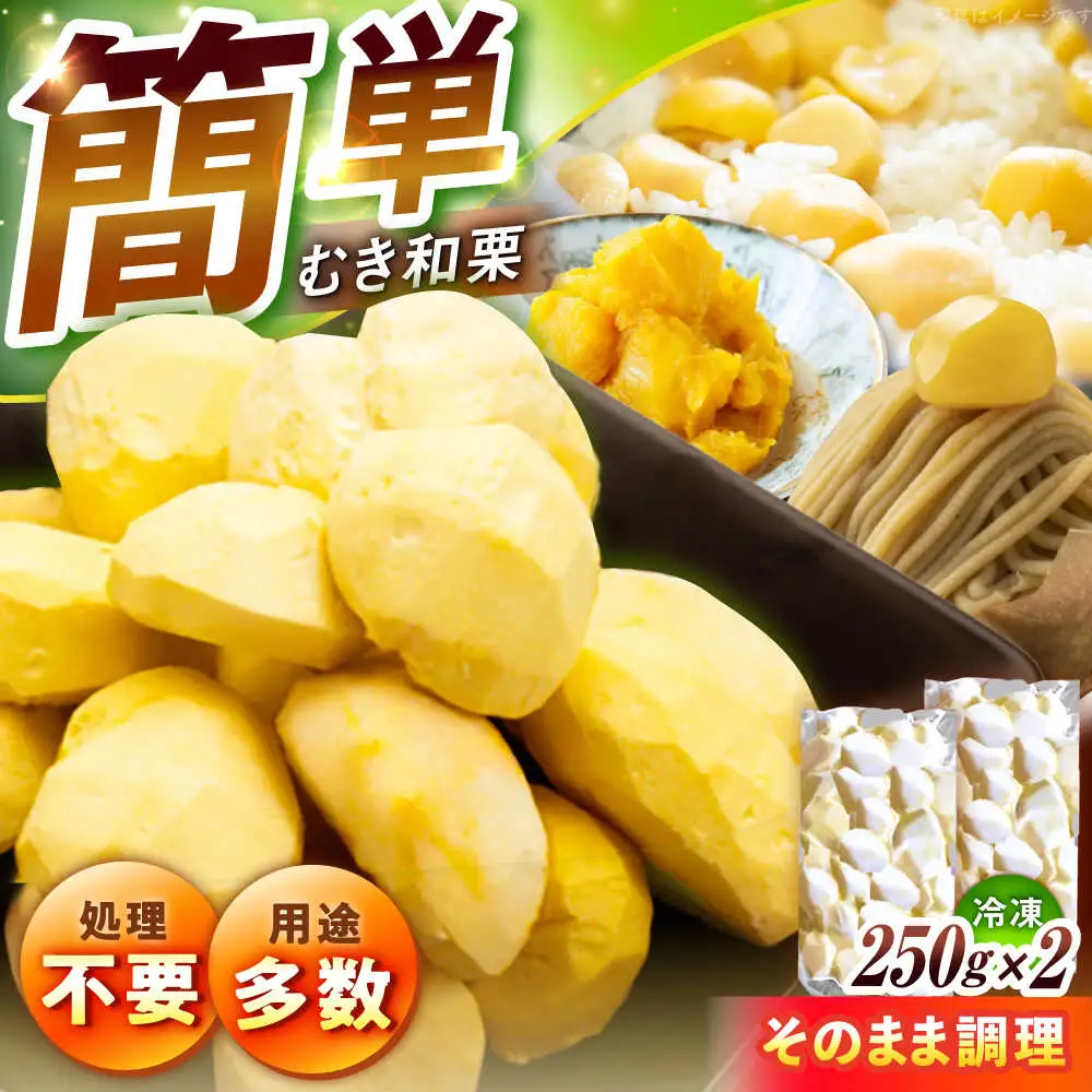 【先行予約】冷凍むき栗「日本栗」 計500g（250g×2P） / 恵那市 / えな笠置山栗園 [AUAV005]