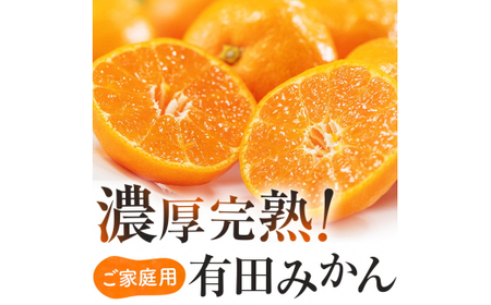 【1月発送】有田育ちの完熟有田みかん 家庭用 サイズ混合(2S～2L)　約3.2kg(3kg+200g)【ard194D-01】