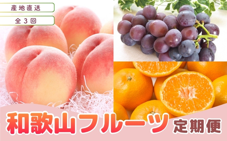 【定期便全3回】産直・和歌山フルーツ定期便（桃・ピオーネ・有田みかん）【TM92239-tkb413】