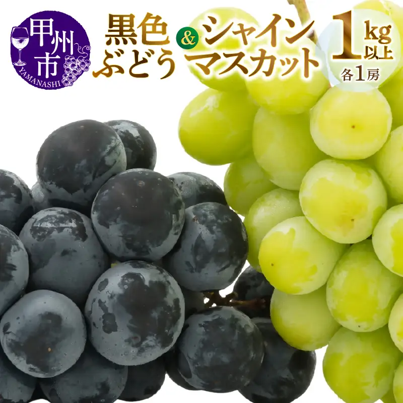 甲州市産旬の葡萄2房入り2色セット 1kg以上【2026年発送】（MG）B-493 シャインマスカット ぶどう フルーツ