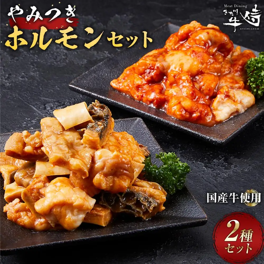 やみつきホルモンセット 400g