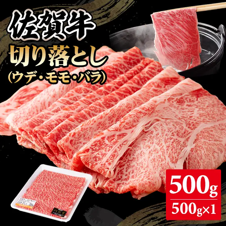 佐賀牛 牛肉切り落とし 500g  牛肉切り落とし B110-025