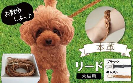 職人手作りの【本革】犬猫用リード 編み込みレザー ペット 愛犬 小型犬 犬 猫 本革 編み込み リード レザーリード ロングリード おしゃれ 人気 プレゼント 可愛い 紐 本革 レザー 日本製 H066-044