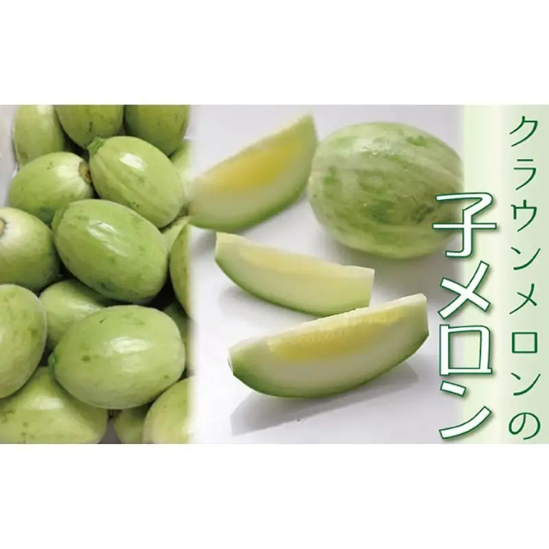 漬物にして美味しい！クラウンメロンの『子メロン』約４Kg 果物類 メロン青肉 