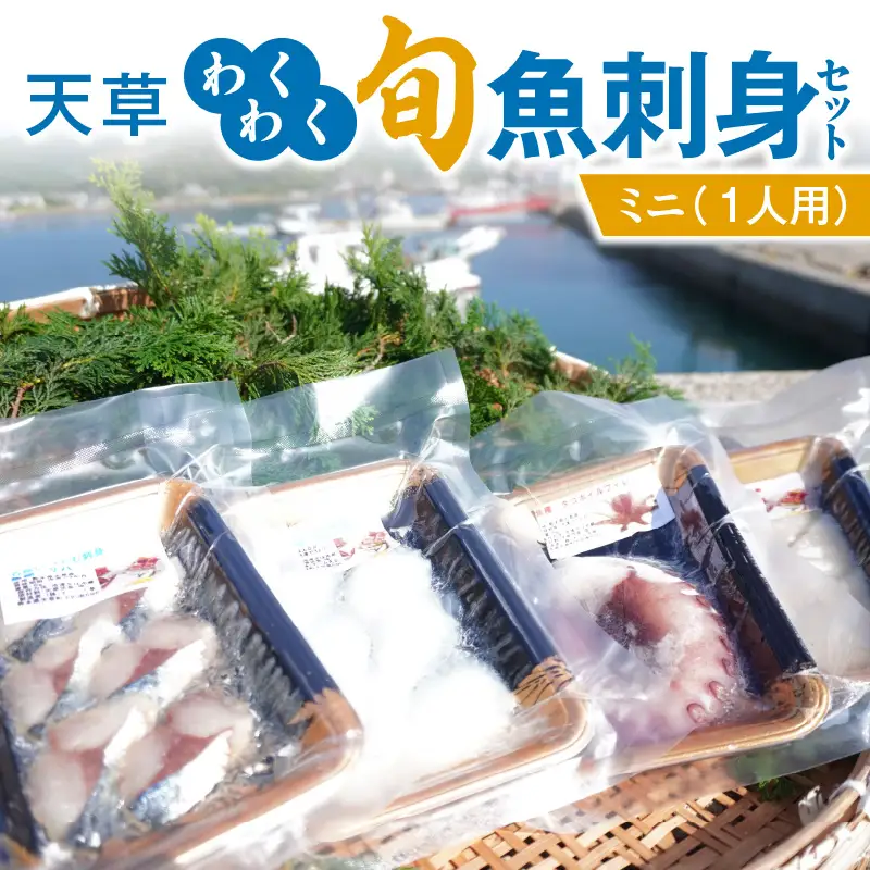S059-021_天草わくわく旬魚刺身セットミニ（１人用）