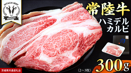 【 常陸牛 】A5 等級 ハミデルカルビ 300g (2～3枚) (茨城県共通返礼品)