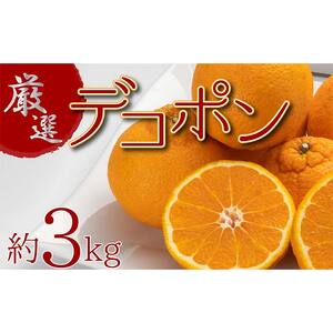厳選！ぷりっぷり果肉♪濃厚甘味「デコポン」 約3kg FAH-0019