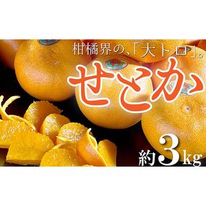 柑橘界の大トロ！三豊市の「せとか」　約3kg FAH-0020