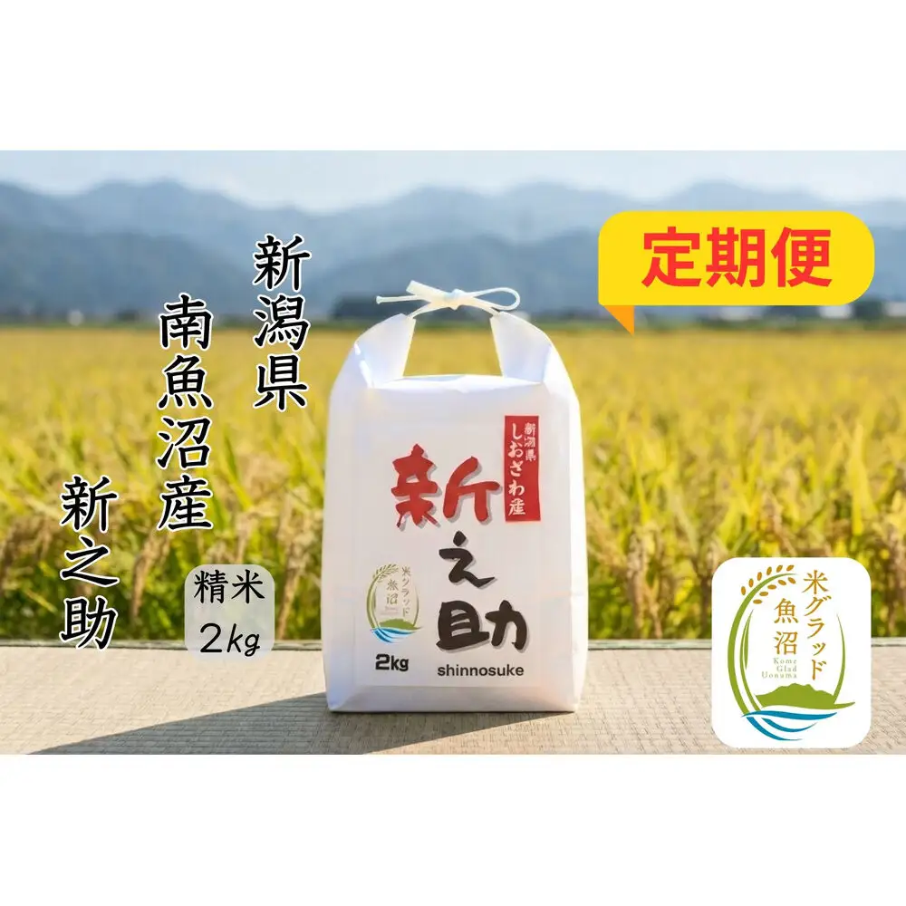【令和8年産 新米】【定期便】新潟県南魚沼産　新之助　2kg×3か月　大粒でツヤがあるこれまでにないお米
