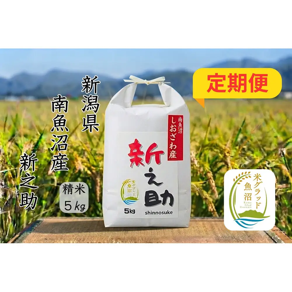 【令和8年産 新米】【定期便】新潟県南魚沼産　新之助　5kg×３か月　大粒でツヤがあるこれまでにないお米