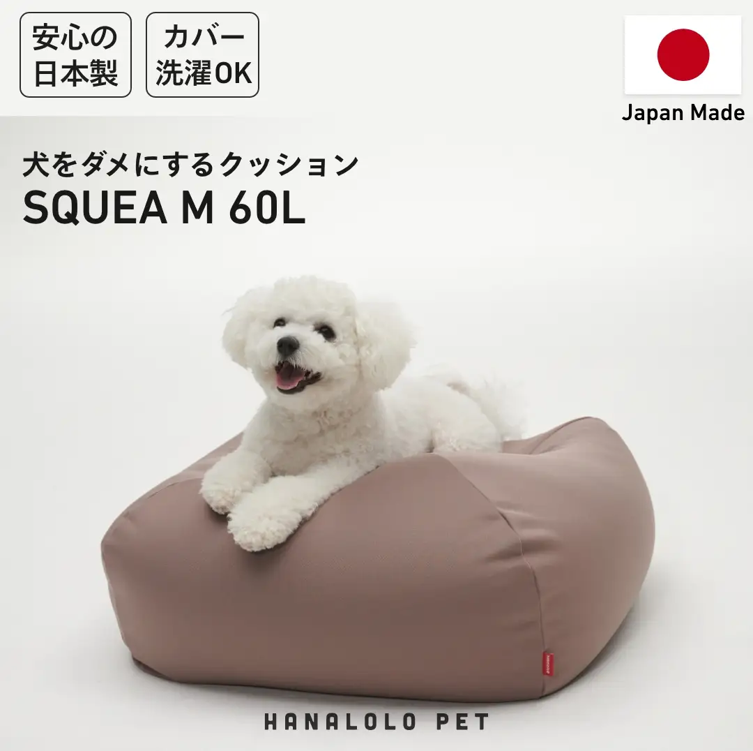 クッション ビーズクッション ハナロロ ペットクッション Mカバー付 60L モカ