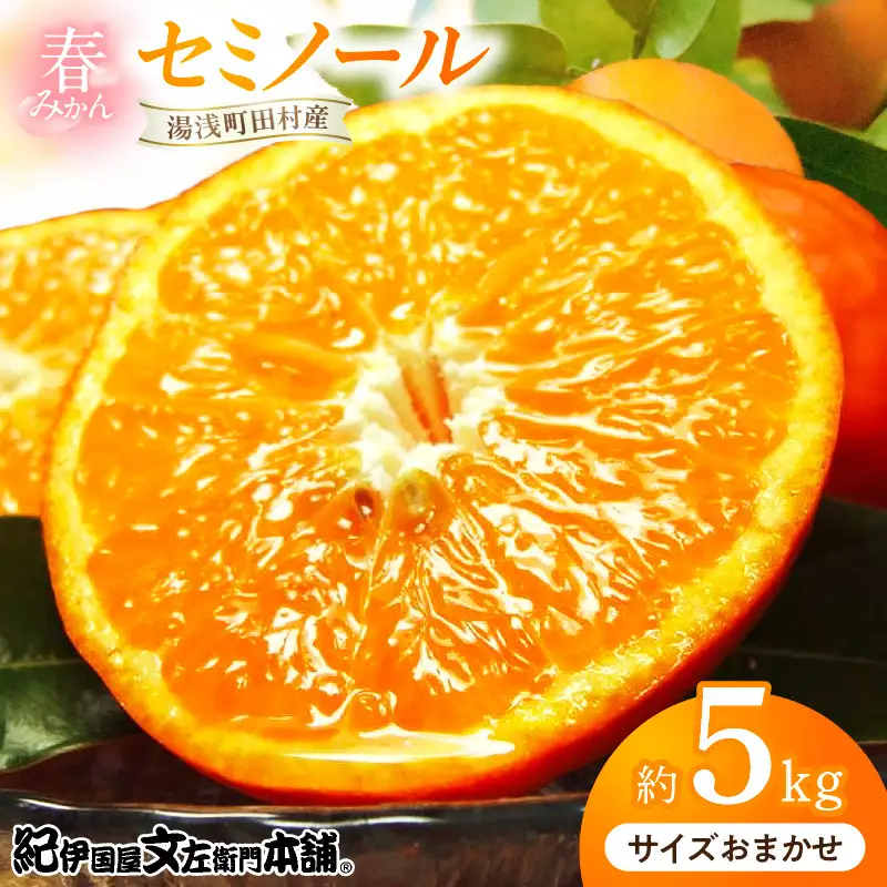 【2027年先行予約】セミノールオレンジ 約5kg 湯浅町田村産 春みかん （果実サイズおまかせ）/ 紀伊国屋文左衛門本舗_V7078