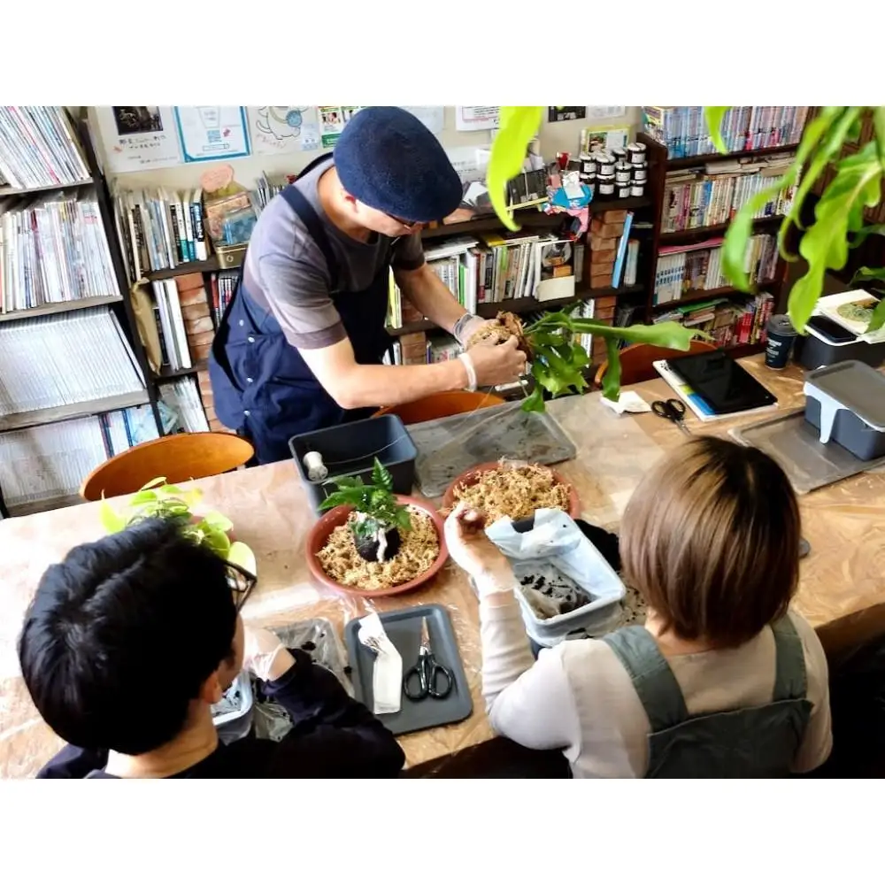 360度楽しめる！吊るせる観葉植物「ハングボール」作りワークショップ