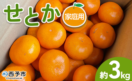 【先行予約】＜せとか 家庭用 約3kg＞ 訳あり わけあり 自宅用 果物 フルーツ みかん ミカン 蜜柑 オレンジ 柑橘 セトカ 選べる ジューシー サイズ不揃い 食べて応援 特産品 柑橘園柴田 愛媛県 西予市【常温】『2027年2月下旬～3月中旬迄に順次出荷予定』MKE0007