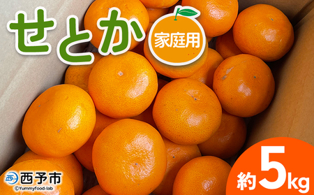 【先行予約】＜せとか 家庭用 約5kg＞ 訳あり わけあり 自宅用 果物 フルーツ みかん ミカン 蜜柑 オレンジ 柑橘 セトカ 選べる ジューシー サイズ不揃い 食べて応援 特産品 柑橘園柴田 愛媛県 西予市【常温】『2027年2月下旬～3月中旬迄に順次出荷予定』MKE0008