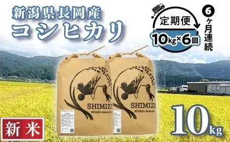 N5-8S106【6ヶ月連続お届け】新潟県長岡産コシヒカリ10kg