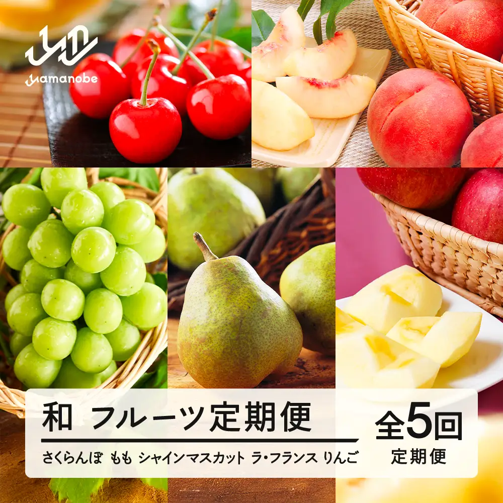 【先行予約】【秋始まり】和 フルーツ 定期便 山形 2026年産 2027年産 さくらんぼ 佐藤錦 桃 もも シャインマスカット ラ・フランス りんご サンふじ 全5回 フルーツ定期便 mm-ft5xx