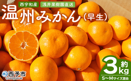 先行予約 ＜浅井果樹園 温州みかん 約3kg（早生）＞ 柑橘 果物 フルーツ ミカン 蜜柑 オレンジ うんしゅうみかん ウンシュウミカン 選べる ワセ 食べて応援 特産品 西宇和 愛媛県 西予市 【常温】『2025年11月中旬～12月上旬迄に順次出荷予定』MAK0009