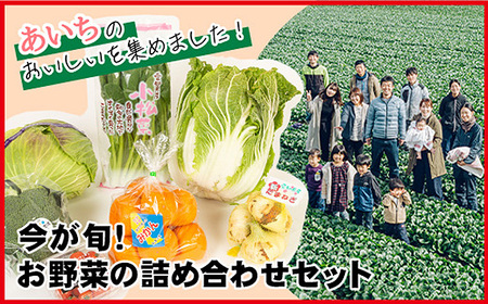 今が旬！お野菜の詰め合わせセット