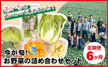 【6ヶ月定期便】今が旬！お野菜の詰め合わせセット