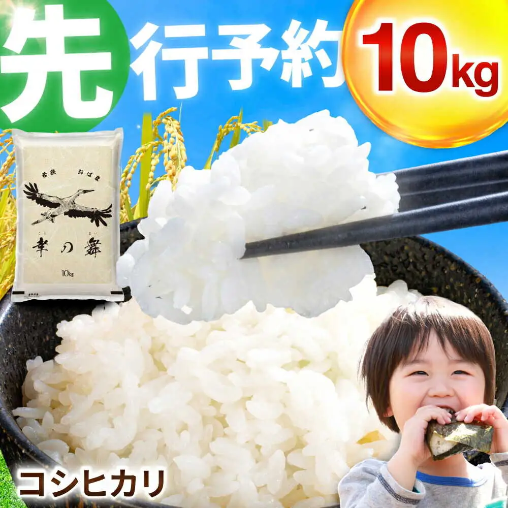 【 先行予約 /11月以降発送】 【令和8年産】 福井県産 コシヒカリ 10kg お米 白米 小浜市 / 今富の宝 [BFCI005]