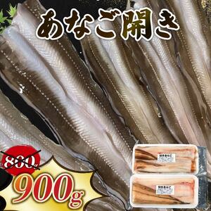 あなご開き 2～3パック(計900g) あなご 冷凍 穴子 アナゴ 白焼き 蒲焼 お吸い物 天ぷら 煮穴子 和食 海産物 味噌汁 ごはん 夕飯 おかず 大船渡 三陸 岩手県 国産