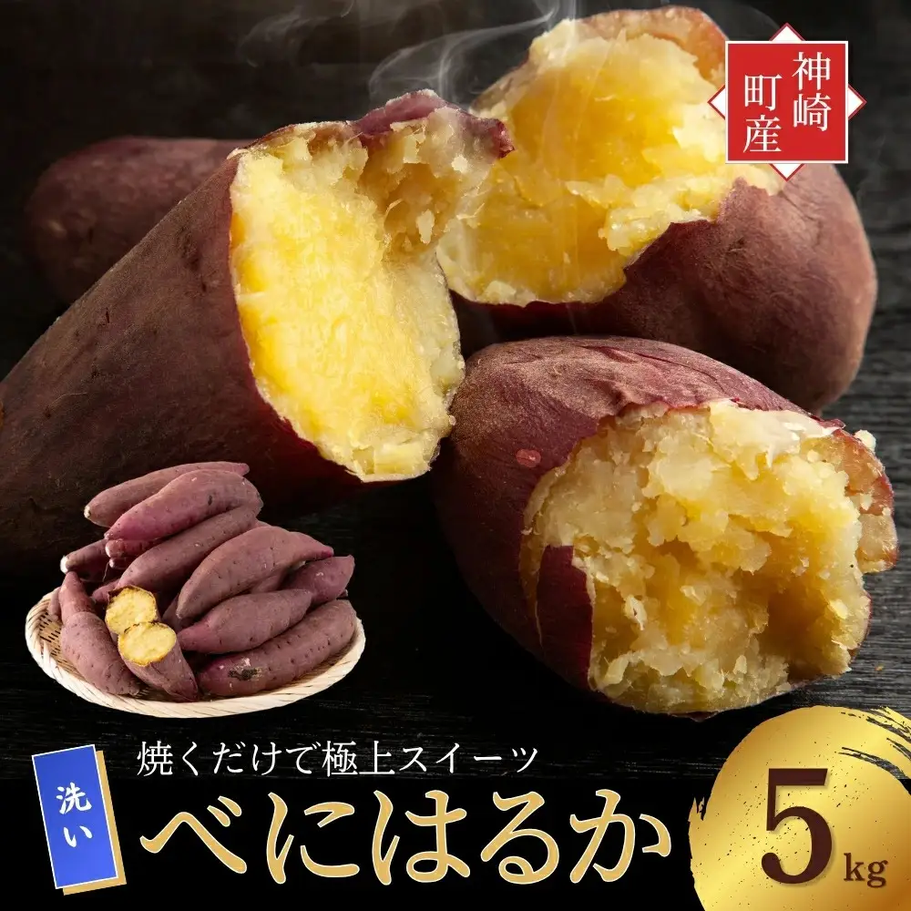  神崎町産 べにはるか さつまいも 5kg【洗い・M～Sサイズ混合】（3月～12月受付分は翌年1月中旬～3月中旬発送）｜さつま芋 焼き芋 焼きいも イモ 芋 紅はるか 訳アリ しっとり 濃厚 蜜 スイートポテト にも ファームおせげん[016-a006-2026]