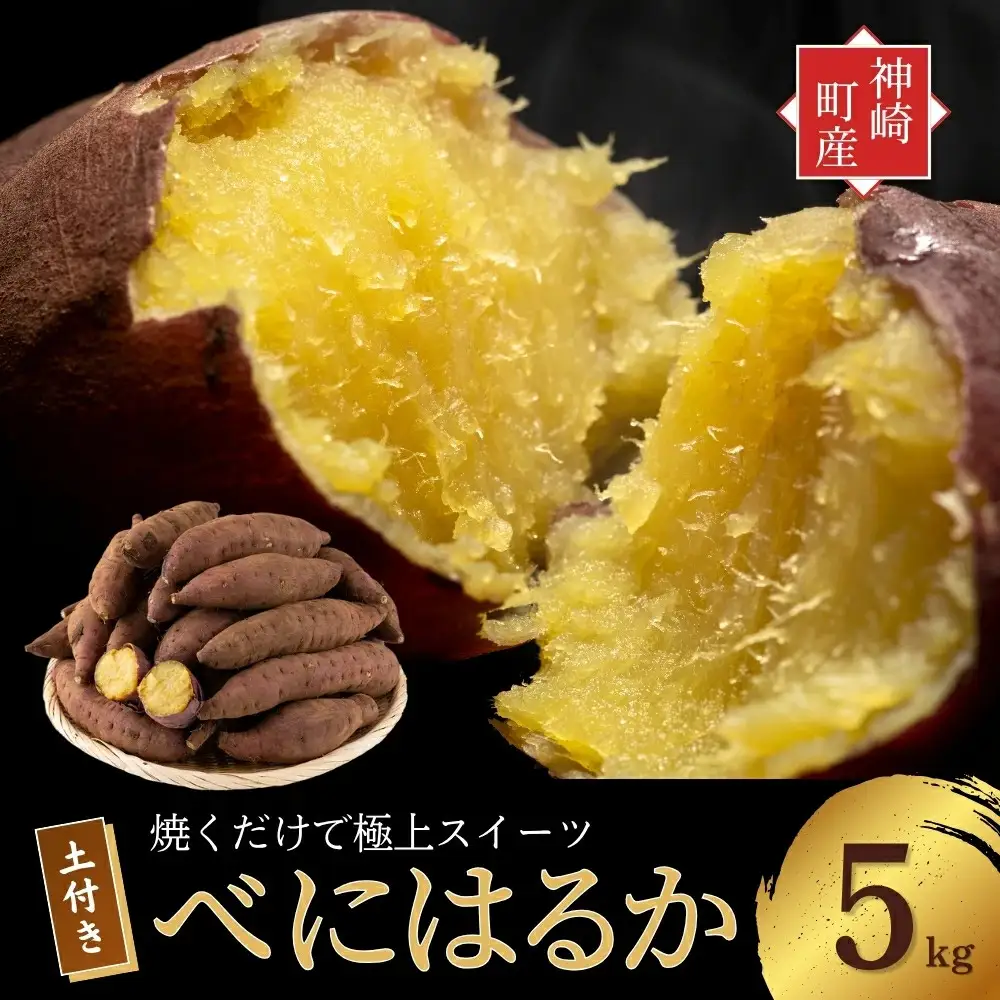 神崎町産 べにはるか さつまいも 5kg【土付き・M～Sサイズ混合】(3月～12月受付分は1月中旬～3月中旬発送)｜さつま芋 焼き芋 焼きいも イモ 芋 紅はるか 訳アリ しっとり 濃厚 蜜 スイートポテト にも ファームおせげん [016-a008-2026]