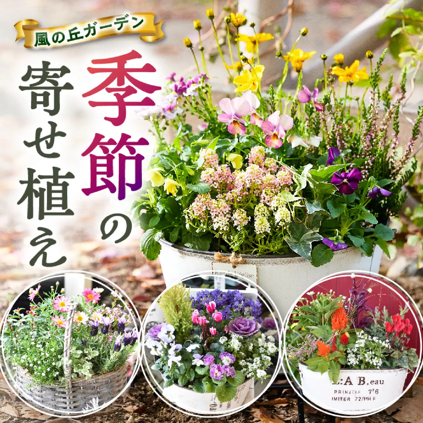 花 【10月頃から発送】【お手軽ガーデニング】季節の寄せ植え（風の丘ガーデン） 