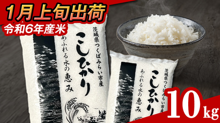 【 1月上旬発送 / 数量限定 】 茨城県産 コシヒカリ 精米 10kg (5kg×2袋） 令和6年産 こしひかり 米 コメ こめ 単一米 限定 茨城県産 国産 美味しい お米 おこめ おコメ