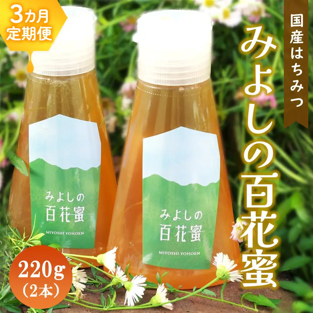 【3か月定期便】みよしのハチミツ(百花蜜) 220g×2本(計220g×6本) K063415