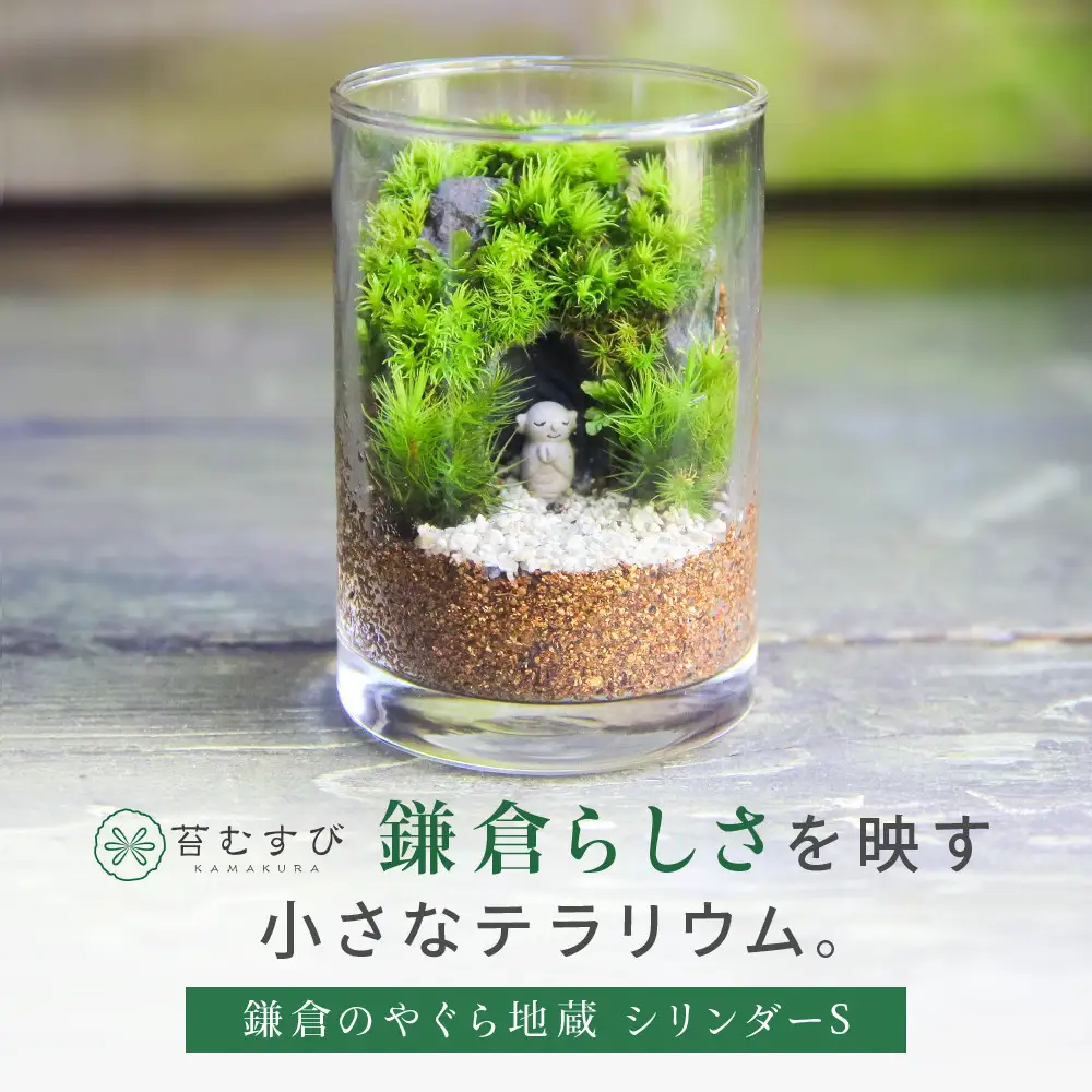 《苔テラリウム・コケリウム》鎌倉のやぐら地蔵＿シリンダーS