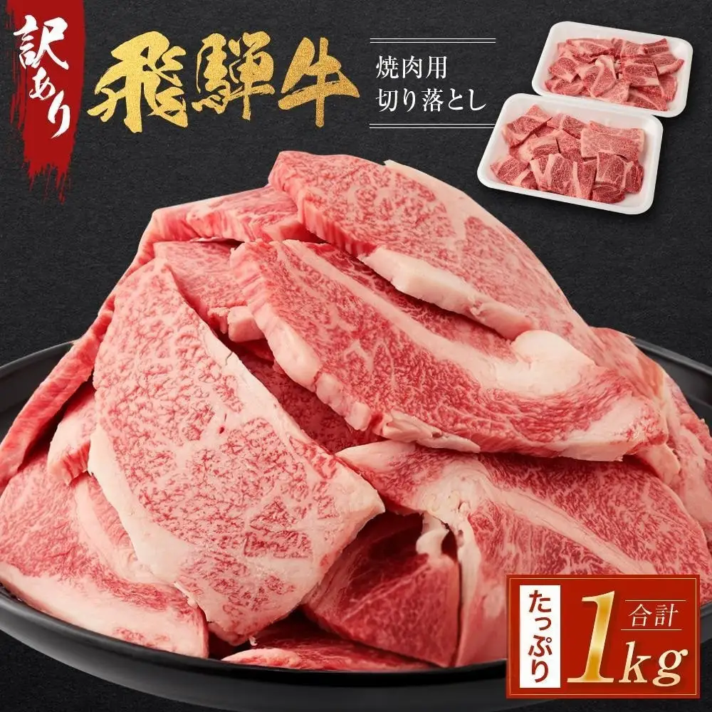 【9月配送】訳あり 飛騨牛焼肉用切り落とし たっぷり1kg （不揃い・大容量）| 訳あり BV027VC09