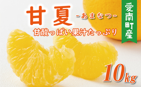 先行予約 贈答用 甘夏 10kg 10000円 樹齢25年 以上 みかん mikan 蜜柑 あまなつ 夏みかん グレープフルーツ だいだい 事前 予約 受付 産地直送 国産 農家直送 糖度 期間限定 数量限定 特産品 ゼリー マーマレード ピール ジュース デザート 人気 限定 おいしい  フルーツ 果物 柑橘 ビタミン 健康 美味しい サイズ ミックス 減農薬 くらもとファーム 愛南町 愛媛県