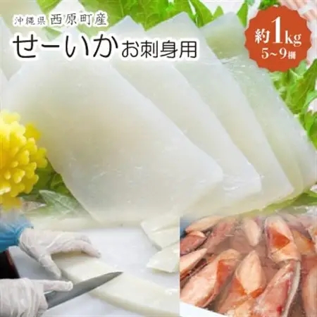 セーイカ お刺身用 約1kg(5～9柵)【配送不可地域：離島】【1564825】