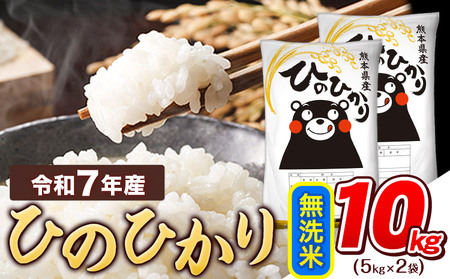 無洗米 ひのひかり 10kg 無洗