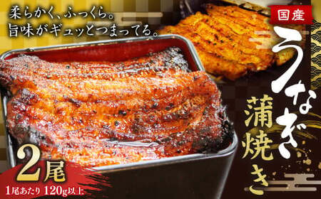 ウナギ 蒲焼き 2尾 鰻 うなぎ かば焼き 蒲焼 魚 お魚 さかな 国産