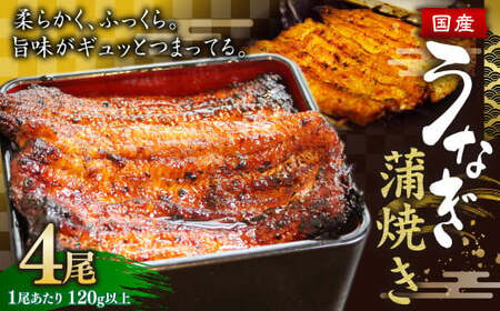 ウナギ 蒲焼き 4尾 鰻 うなぎ かば焼き 蒲焼 魚 お魚 さかな 国産