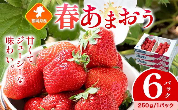 福岡県産 春あまおう 6パック 南国フルーツ株式会社《2月上旬-3月末頃出荷》福岡県 小竹町 あまおう いちご イチゴ 送料無料【配送不可地域あり】