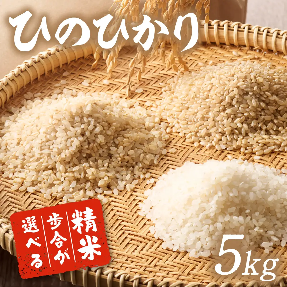 令和8年産 新米予約受付！自然栽培米ひのひかり5kg〈栽培期間中農薬・肥料不使用〉【ほのわ】_HA1609
