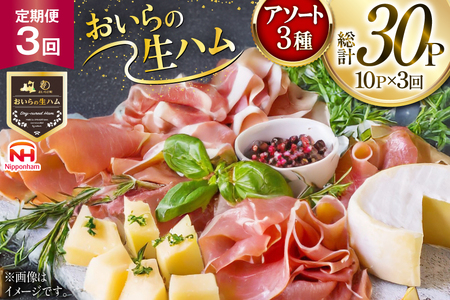 生ハム 3回 定期便 おいらの生ハム アソート セット 計30p